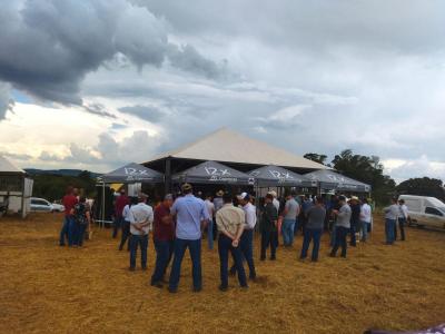 Dia de Campo da Coprossel teve uma Ã³tima participaÃ§Ã£o dos associados